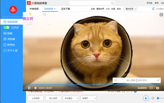 图片8