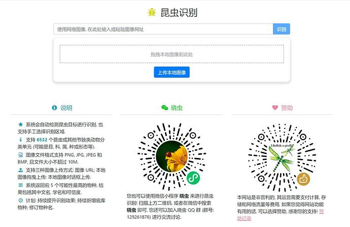 昆虫识别 _ 采石工