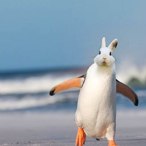 photo_2018-06-14_09-34-59