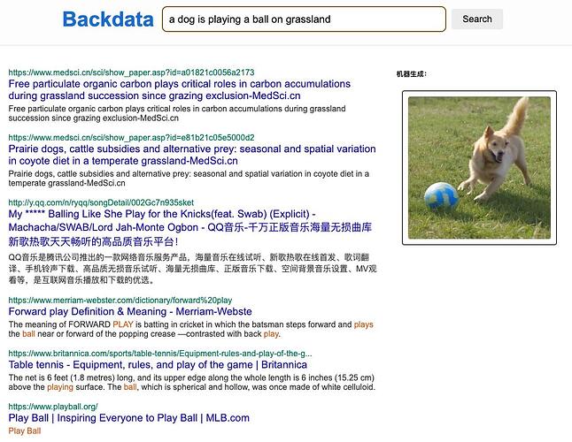 Backdata dog play ball 2023-12-21 10-14-25